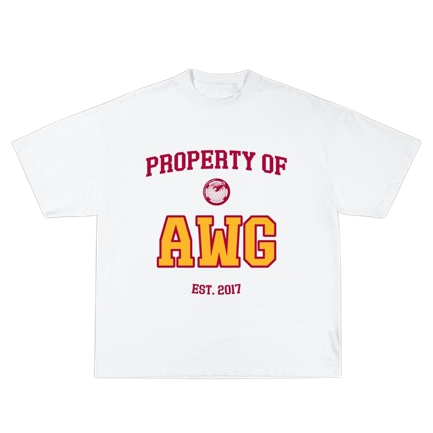 Property of AWG Tee